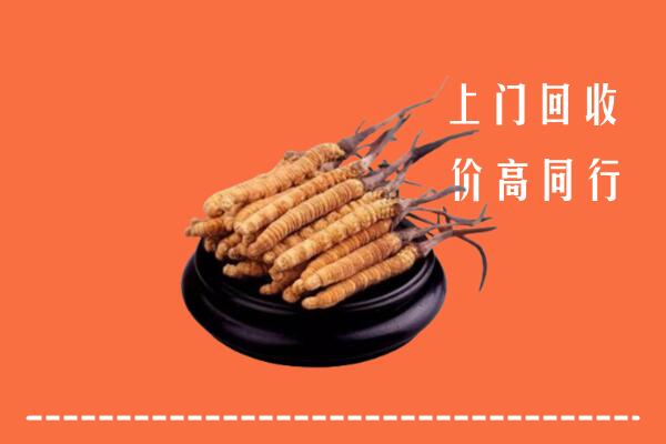 高价求购：娄底回收散虫草
