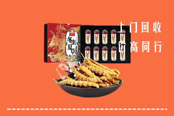 娄底回收虫草